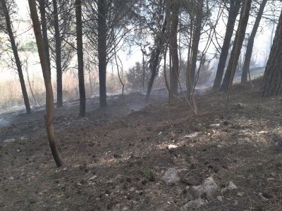 Incendio a montecastello.