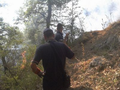 Incendio a Monte Caruso, domato dopo diverse ore.