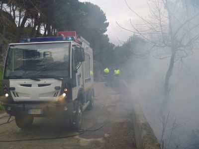 Incendio a Montecastello, in cenere circa 1000mq di sottobosco.