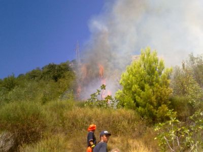 5 ettari di sottobosco e macchia mediterranea in cenere.