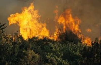 INCENDIO A MONTECASTELLO - Nuovo intervento della Protezione Civile.