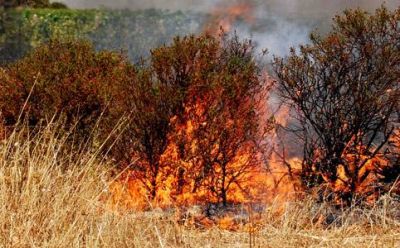 Incendio in località citola intervento della Protezione Civile cavese.