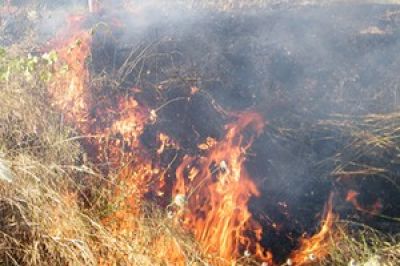 Incendio nella località Toriello - Intervento della Protezione Civile.