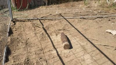 STAMATTINA BRILLA IL PROIETTILE A S. LUCIA