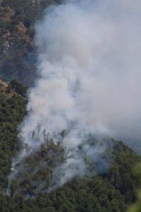 DOMATO L'INCENDIO A BRECCELLE.