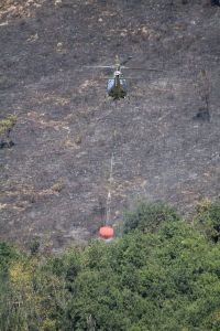 Incendio collina Citola.