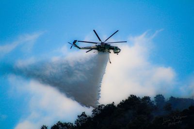 Incendio parco naturale Diecimare