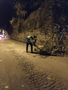 Caduta rami a Castagneto.