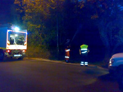 Ancora un incendio, stavolta in via Petrellosa