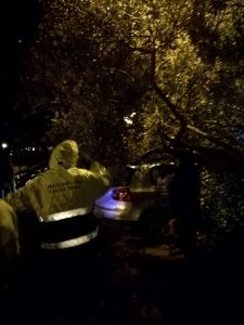 Allerta meteo -  interventi della Protezione Civile.