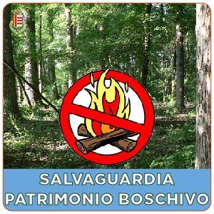 Salvaguardia patrimonio boschivo dal rischio incendi