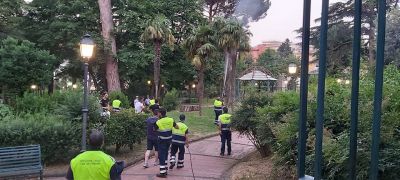 Data alle fiamme una palma, intervenuta la Protezione Civile.