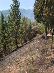 Incendio nella frazione Dupino.