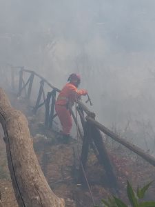 News incendio a Monte Castello